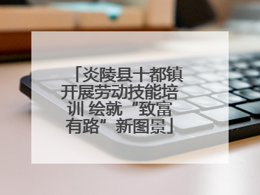 炎陵县十都镇开展劳动技能培训 绘就“致富有路”新图景