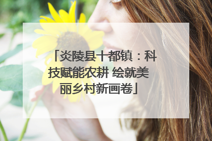 炎陵县十都镇：科技赋能农耕 绘就美丽乡村新画卷