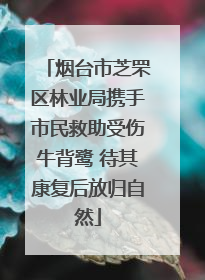 烟台市芝罘区林业局携手市民救助受伤牛背鹭 待其康复后放归自然