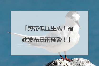 热带低压生成！福建发布暴雨预警！