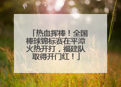 热血挥棒！全国棒球锦标赛在平潭火热开打，福建队取得开门红！
