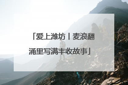 爱上潍坊丨麦浪翻涌里写满丰收故事