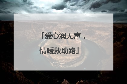 爱心润无声，情暖救助路