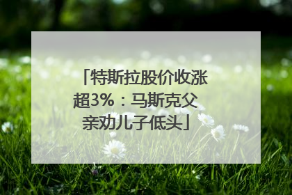 特斯拉股价收涨超3%：马斯克父亲劝儿子低头
