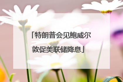 特朗普会见鲍威尔 敦促美联储降息