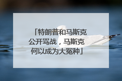 特朗普和马斯克公开骂战，马斯克何以成为大冤种