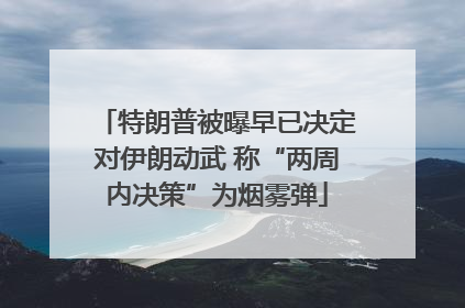 特朗普被曝早已决定对伊朗动武 称“两周内决策”为烟雾弹