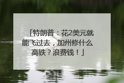 特朗普：花2美元就能飞过去，加州修什么高铁？浪费钱！