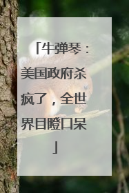牛弹琴：美国政府杀疯了，全世界目瞪口呆