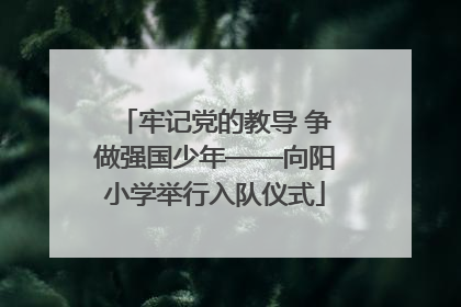 牢记党的教导 争做强国少年——向阳小学举行入队仪式