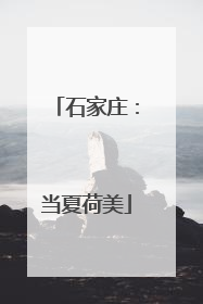 石家庄：当夏荷美