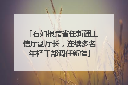 石如根跨省任新疆工信厅副厅长，连续多名年轻干部调任新疆