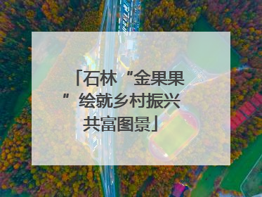 石林“金果果”绘就乡村振兴共富图景