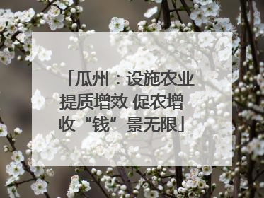 瓜州：设施农业提质增效 促农增收“钱”景无限