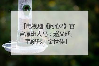 电视剧《问心2》官宣原班人马：赵又廷、毛晓彤、金世佳