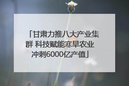 甘肃力推八大产业集群 科技赋能寒旱农业冲刺6000亿产值