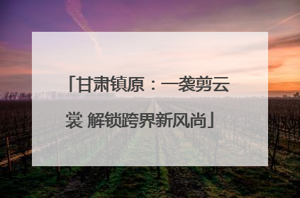 甘肃镇原：一袭剪云裳 解锁跨界新风尚