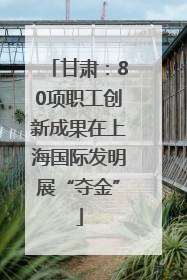 甘肃：80项职工创新成果在上海国际发明展“夺金”