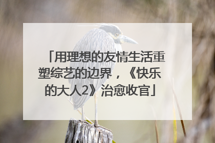 用理想的友情生活重塑综艺的边界，《快乐的大人2》治愈收官