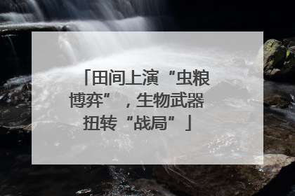 田间上演“虫粮博弈”，生物武器扭转“战局”