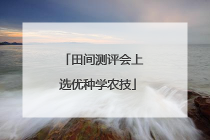 田间测评会上选优种学农技