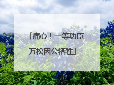 痛心！一等功臣万松因公牺牲
