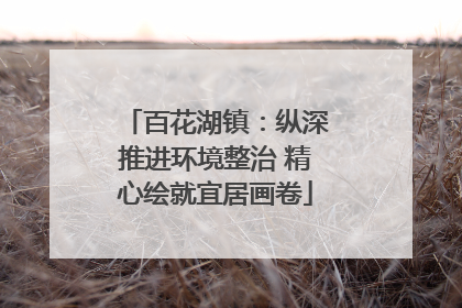 百花湖镇：纵深推进环境整治 精心绘就宜居画卷