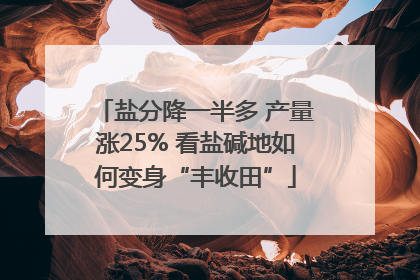 盐分降一半多 产量涨25% 看盐碱地如何变身“丰收田”