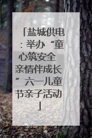 盐城供电：举办“童心筑安全 亲情伴成长”六一儿童节亲子活动