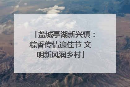 盐城亭湖新兴镇：粽香传情迎佳节 文明新风润乡村