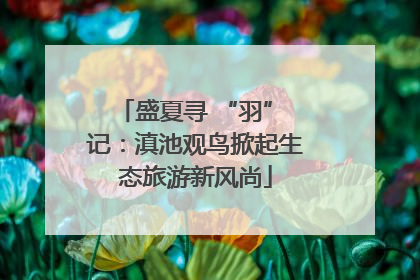 盛夏寻 “羽” 记：滇池观鸟掀起生态旅游新风尚