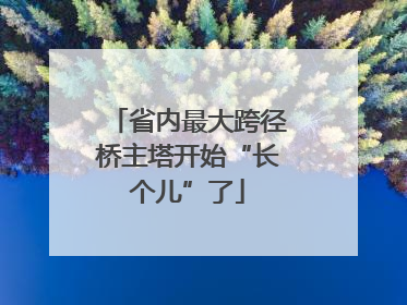 省内最大跨径桥主塔开始“长个儿”了
