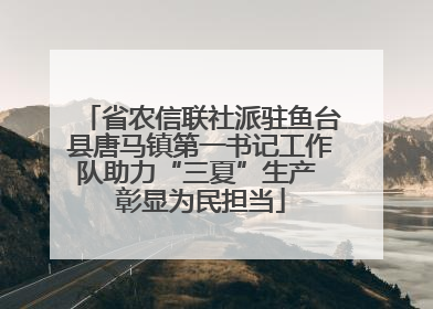 省农信联社派驻鱼台县唐马镇第一书记工作队助力“三夏”生产 彰显为民担当