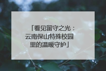 看见留守之光：云南保山特殊校园里的温暖守护