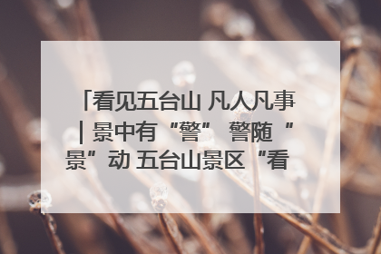 看见五台山 凡人凡事｜景中有“警” 警随“景”动 五台山景区“看得见”的平安守护