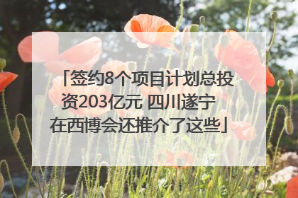 签约8个项目计划总投资203亿元 四川遂宁在西博会还推介了这些