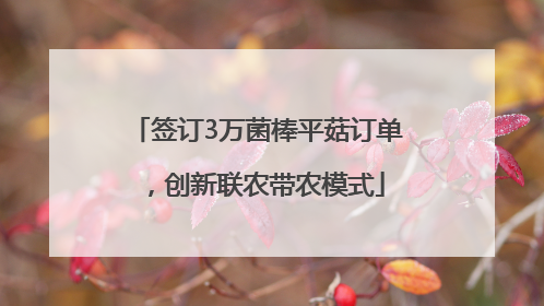 签订3万菌棒平菇订单，创新联农带农模式