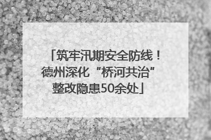 筑牢汛期安全防线！德州深化“桥河共治”整改隐患50余处