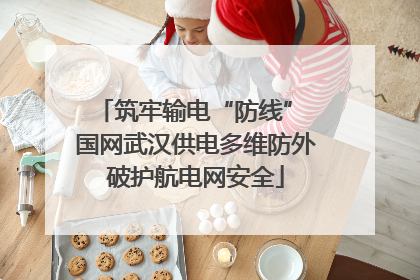 筑牢输电“防线” 国网武汉供电多维防外破护航电网安全