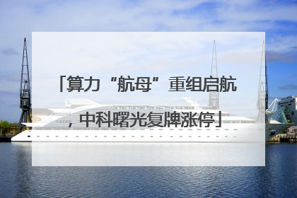 算力“航母”重组启航，中科曙光复牌涨停