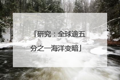 研究：全球逾五分之一海洋变暗
