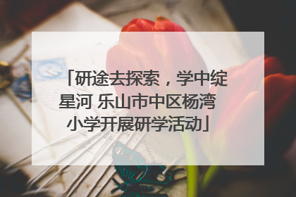 研途去探索，学中绽星河 乐山市中区杨湾小学开展研学活动