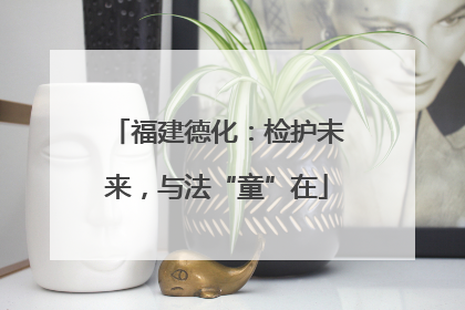 福建德化：检护未来，与法“童”在