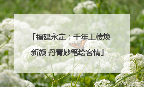 福建永定：千年土楼焕新颜 丹青妙笔绘客情