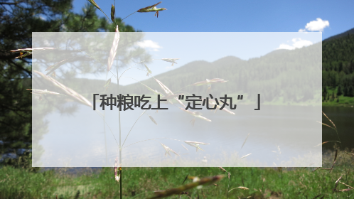 种粮吃上“定心丸”