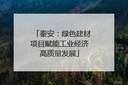 秦安：绿色建材项目赋能工业经济高质量发展