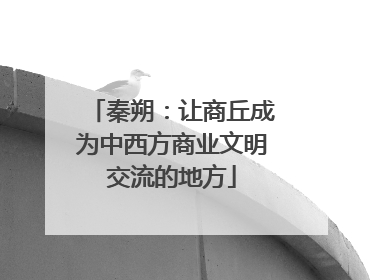 秦朔：让商丘成为中西方商业文明交流的地方