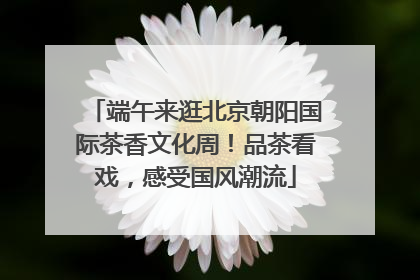 端午来逛北京朝阳国际茶香文化周！品茶看戏，感受国风潮流