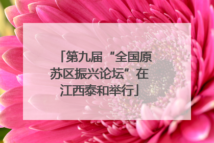 第九届“全国原苏区振兴论坛”在江西泰和举行