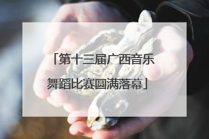 第十三届广西音乐舞蹈比赛圆满落幕